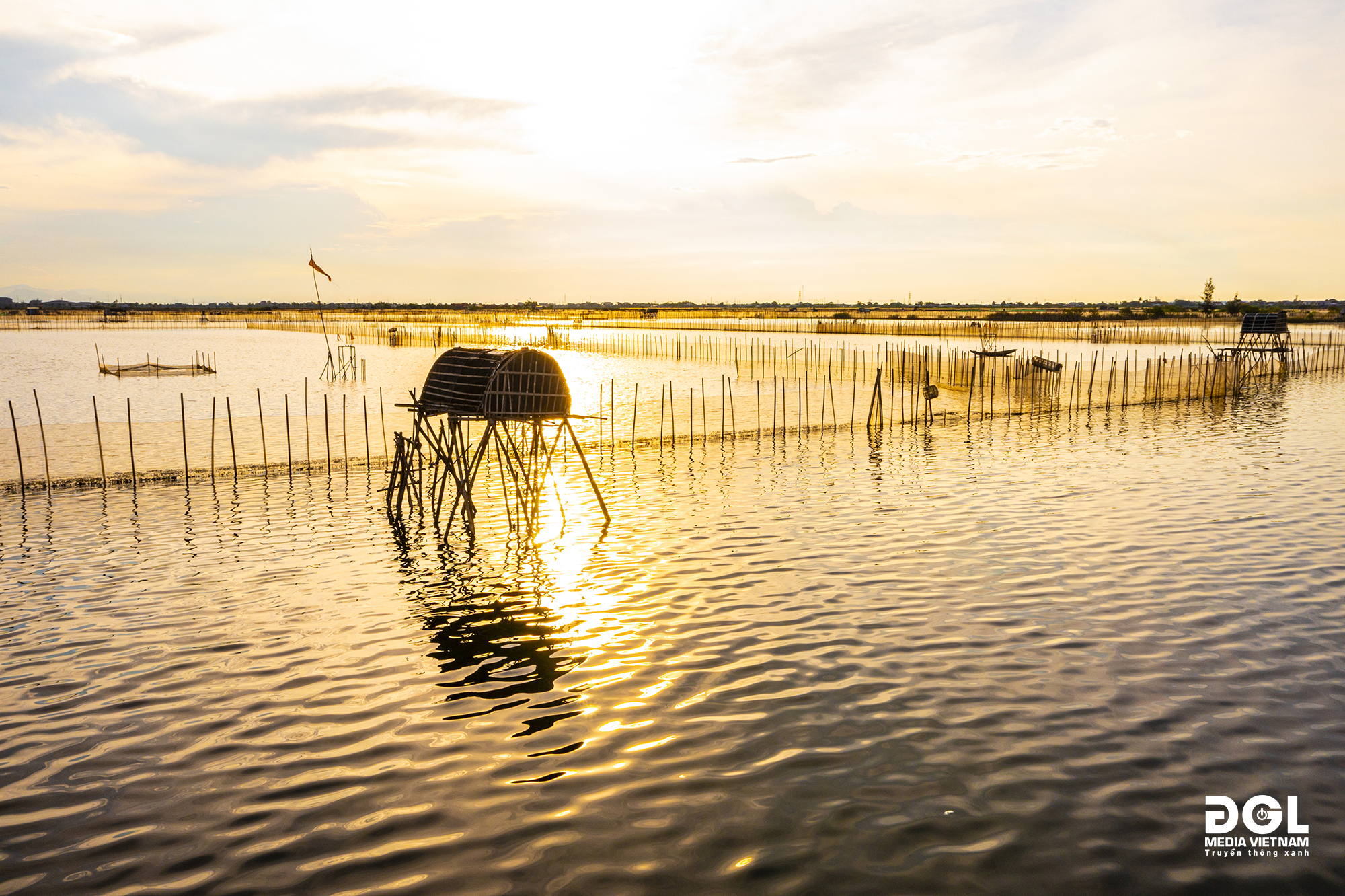 Đầm chuồn huế (3)